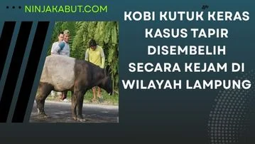 KOBI Kutuk Keras Kasus Tapir Disembelih Secara Kejam di Wilayah Lampung