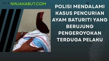 Polisi Mendalami Kasus Pencurian Ayam Baturiti Yang Berujung Pengeroyokan Terduga Pelaku